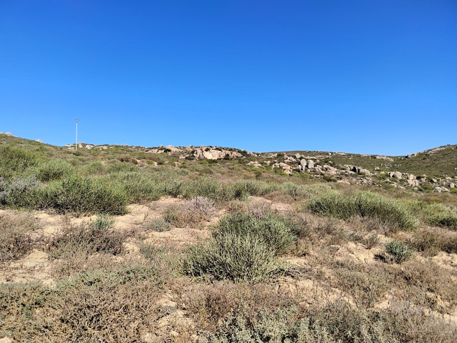 0 Bedroom Property for Sale in Steenbergs Cove Western Cape